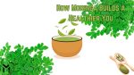 Moringa Powder