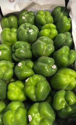 Premium Fresh Vegetables from Dezful