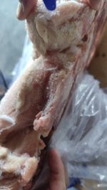 Premium Frozen Chicken with Bone and Wing (Chicken Breast Front Halves) - High-Quality Export Grade