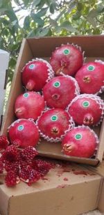 انار رباب ممتاز: کیفیت استثنایی برای منبع‌یابی عمده B2B