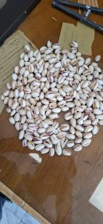 Premium Rafsanjan Pistachios
