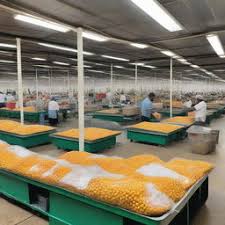 Processing and Packaging - B2B Wholesale Marketplace