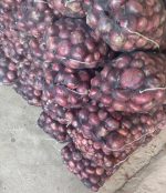 بصل بناب اكتشف المذاق الذي لا مثيل له للذهب الأحمر الإيراني