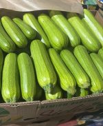 Premium Fresh Marcello Zucchini for Global Export