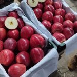 Fresh Red and White Apples: A Crisp Export Treasure from Ushnavyeh