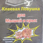 Heavy-Duty Large Book-Style Glue Traps | Bulk Export Quality (100/Carton)