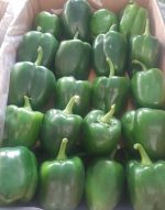 خضروات طازجة ممتازة من ديزفول: شريكك الموثوق في التصدير اليومي