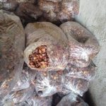 Premium Iranian Date Waste & By-Products for Animal Feed and Industrial Use