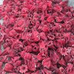 چای ممتاز درجه یک ایرانی گل ختمی تازه | سورت شده و بسته بندی شده در کارتن برای صادرات فله