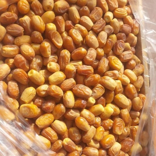 خرمای زاهدی ممتاز ایرانی | آفتاب‌گیر و شیرین طبیعی | ایده‌آل برای صادرات