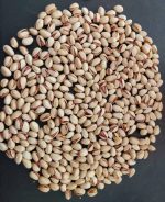 Premium Rafsanjan Pistachios: Hand-Selected Bulk Lots for Discerning Importers & Roasters