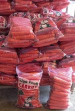 هویج مرغوب روسی: ریشه‌های صادراتی برای عمده‌فروشان عمده B2B 🥕