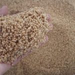 Elite Iranian Sesame Tahini: Single-Roast & Double-Roast Masterpieces for B2B Bulk Connoisseurs