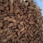 بادام ممتاز مامایی: برداشت‌های فوق‌العاده ممتاز ایرانی در اندازه‌های کوچک و استاندارد برای تسلط بر تجارت عمده B2B