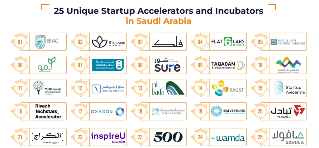 Accelerators in Arab Countries