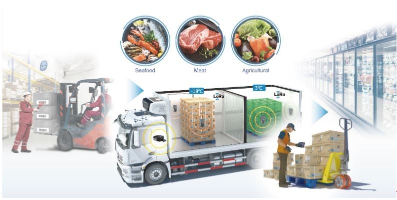 Cold Chain in Exports