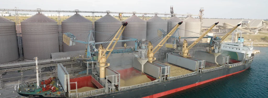 Dry Bulk Mineral Transport