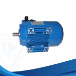 Electric motors