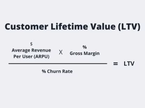 LTV (Lifetime Value)