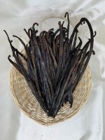 PT Baharat Xplore Nusa Vanilla