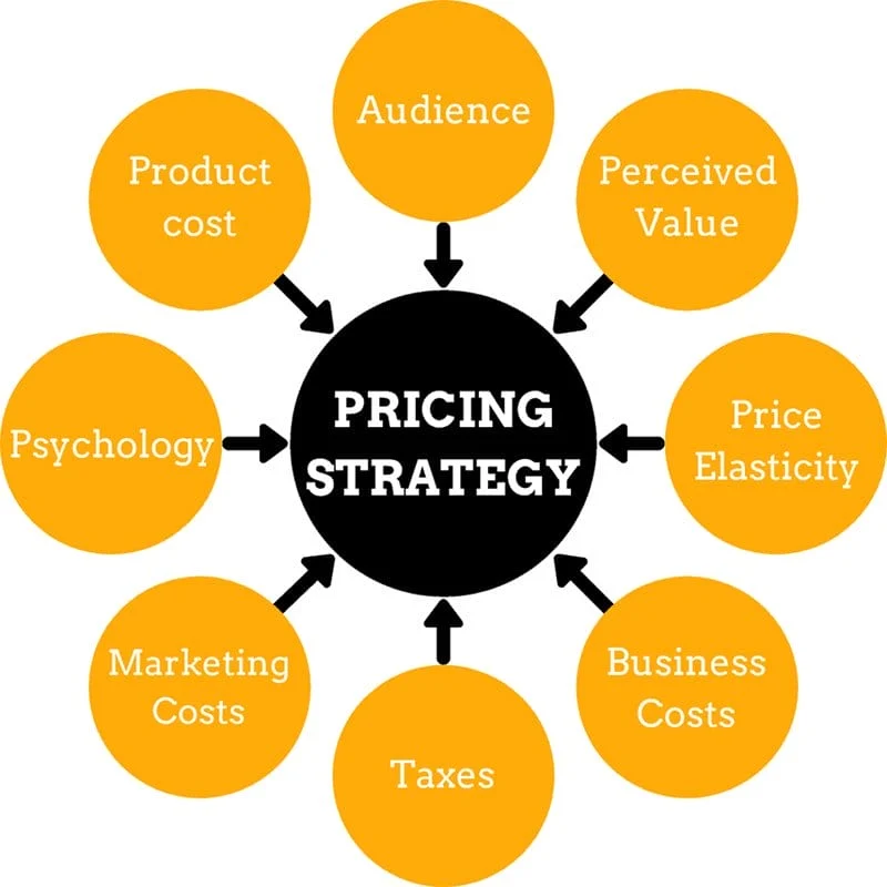 Vague Pricing Mechanisms