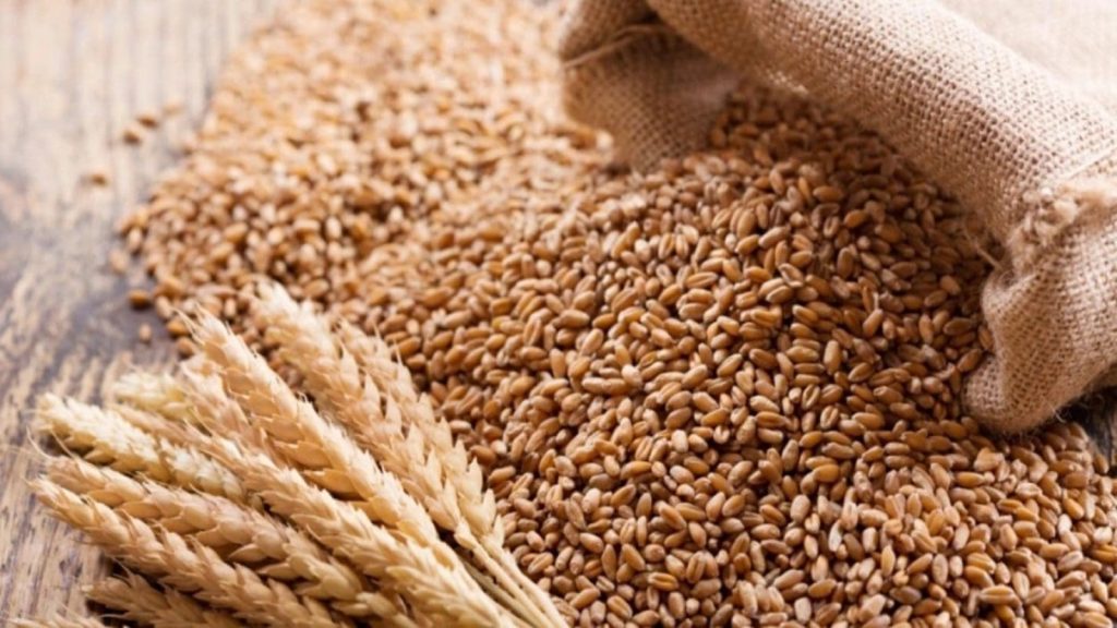 Wheat Export Suppliers for the Saudi Arabia