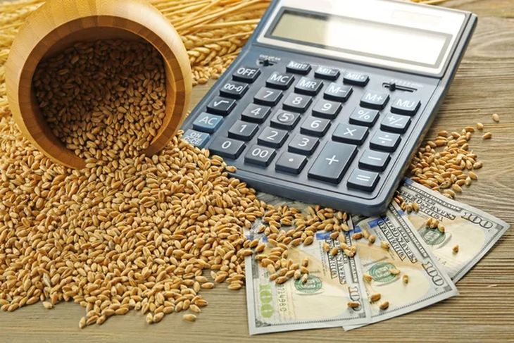 Win GFSA Wheat Tenders