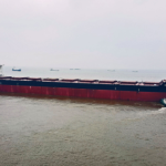 Newcastlemax Bulk Vessel Chartering Platform