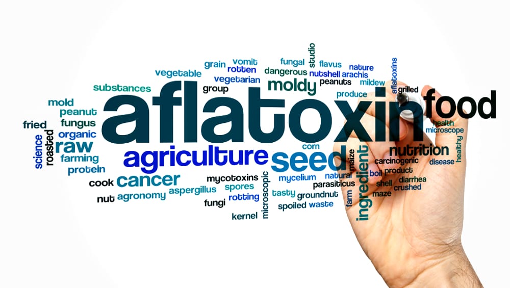 Aflatoxin and Mycotoxins