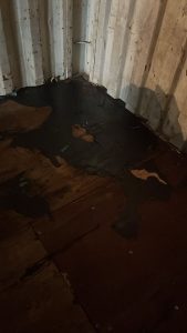 Best Practices for Loading and Transporting Bitumen