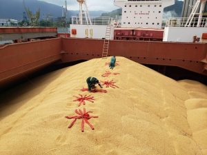 Execution for Ship Hold Fumigation