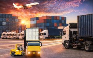 From Transactions to Trade Ecosystems How Leading Import and Export Companies Build Influence Stability and Long Term Power