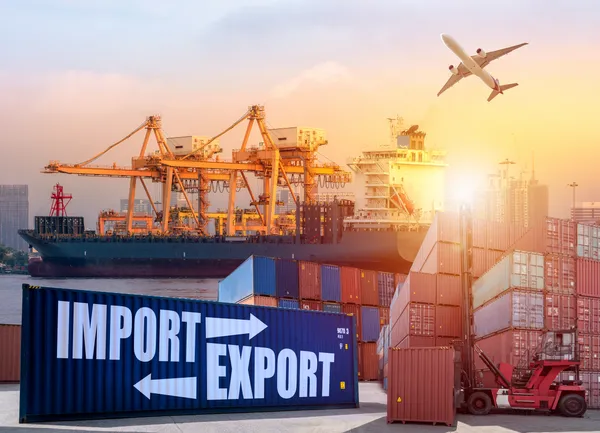 From Transactions to Trade Ecosystems How Leading Import and Export Companies Build Influence Stability and Long Term Power