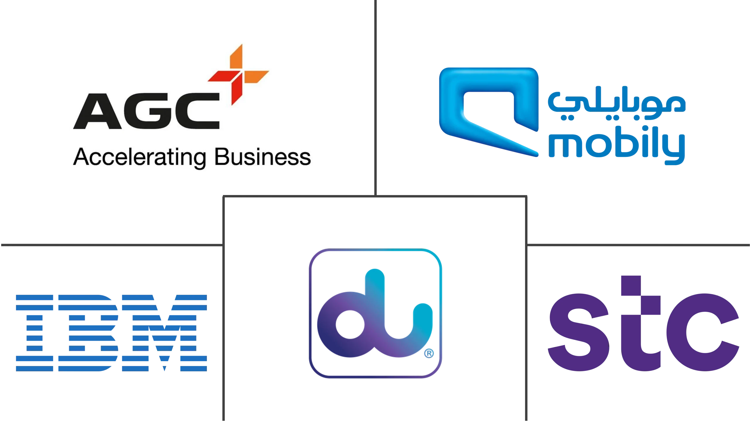 GCC Software Companies