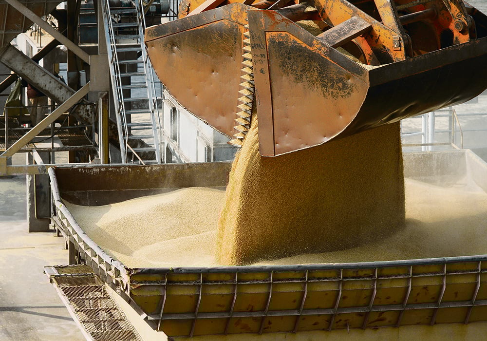 Global Wheat and Flour Cartel