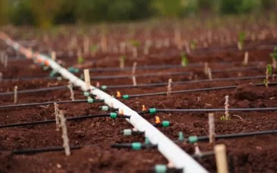 Modern Drip-Irrigation Systems