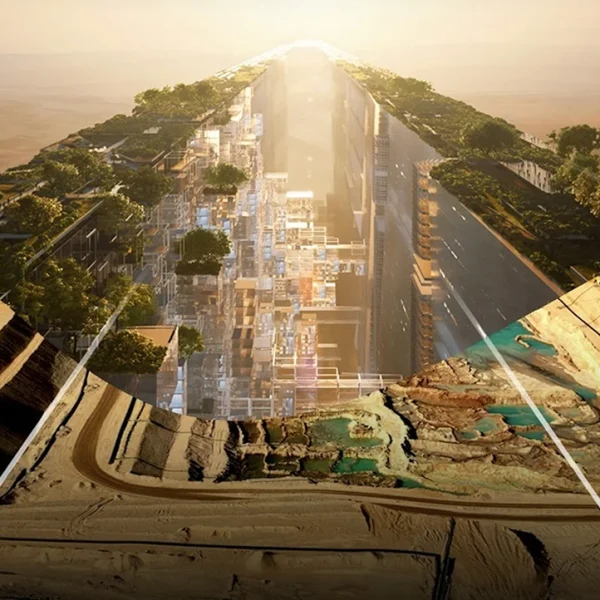 Understanding The Line Project