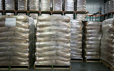 Wheat & Flour bulk Deals
