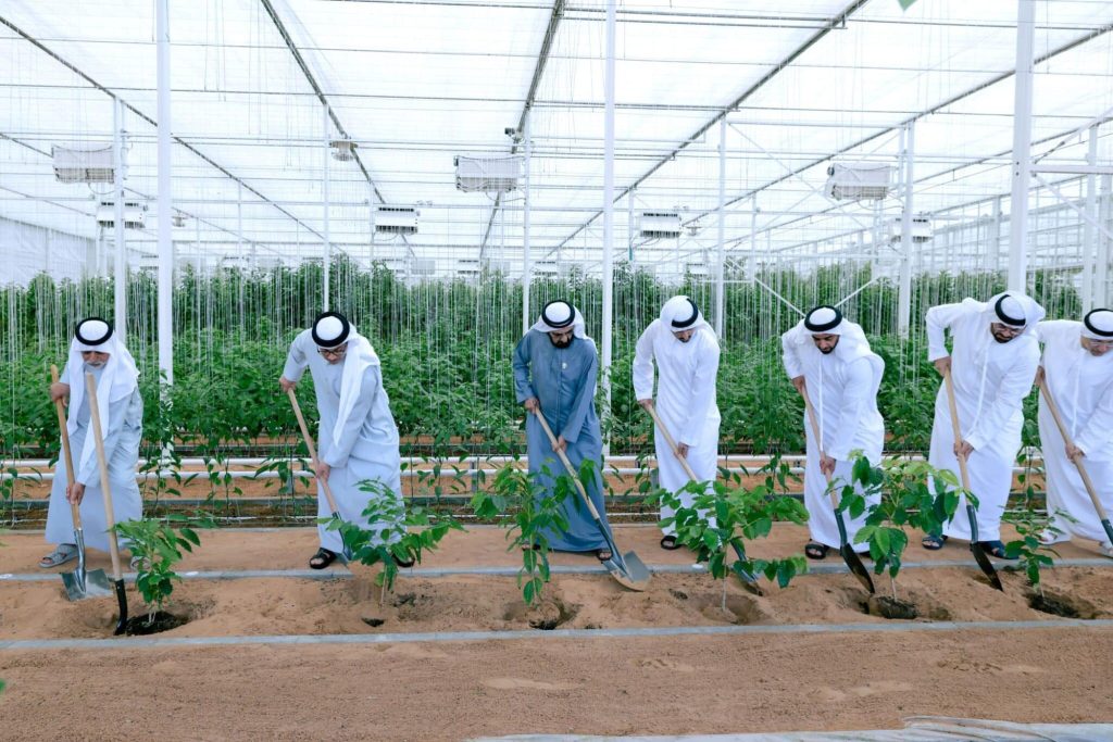Agricultural Progress in the UAE & Dubai