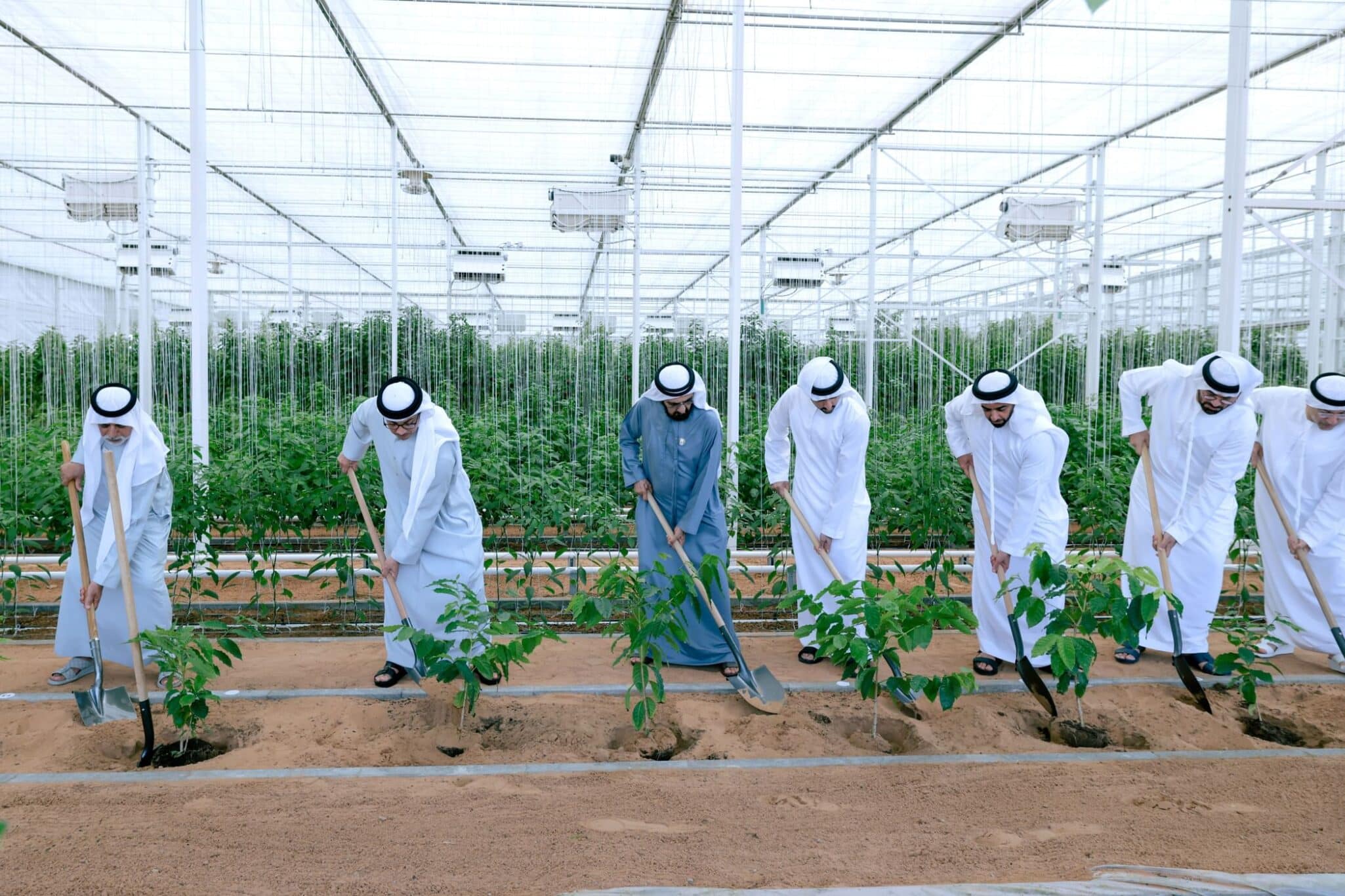 Agricultural Progress in the UAE & Dubai