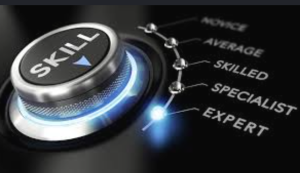 Building Your Export Operations Playbook