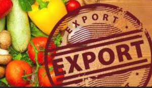 How to Sell Fruits and Fresh Vegetables Successfully in 2026