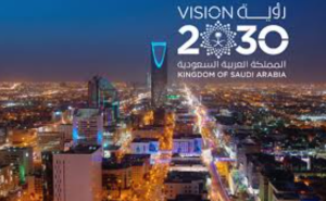 The Vision 2030 Catalyst