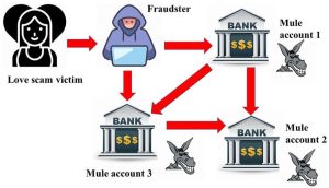 What Exactly Is a Money Mule