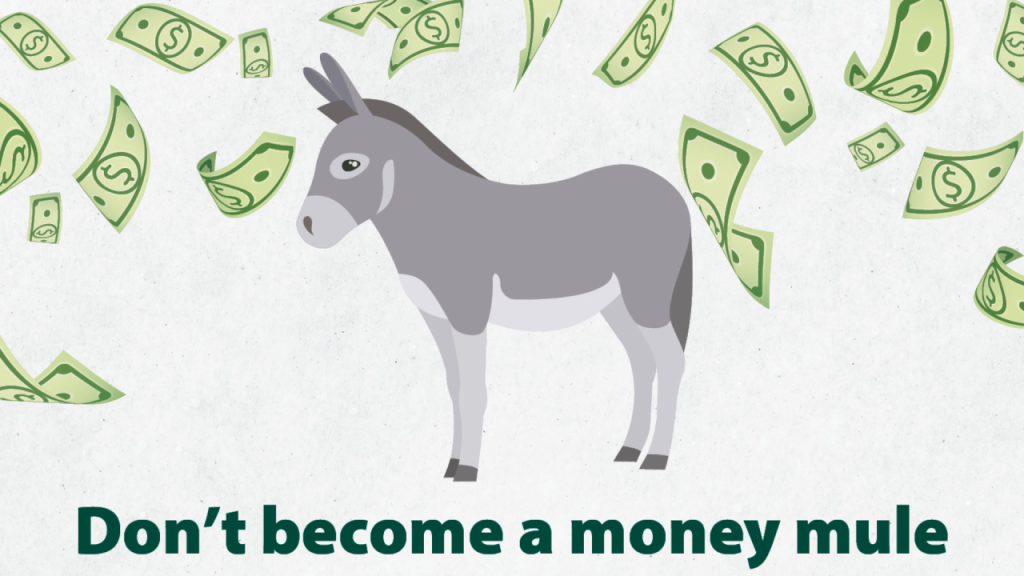 Why the Middle East Is a Hotspot for Money Mule Activity in 2026