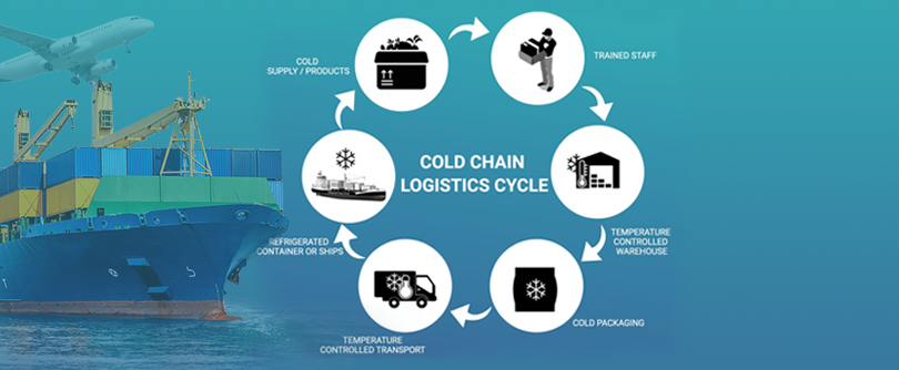 Cold Chain in Oman