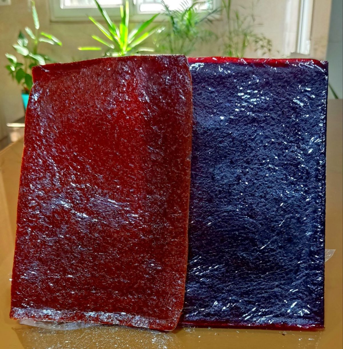 Fruit Leather Sheets