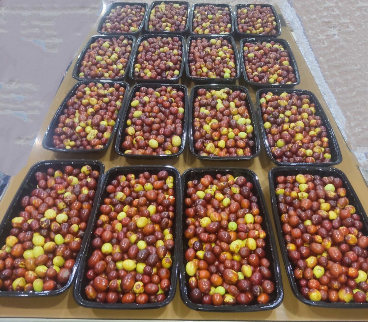 Hand-Picked Fresh Birjand Jujube