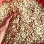 Premium Afghan Golpar