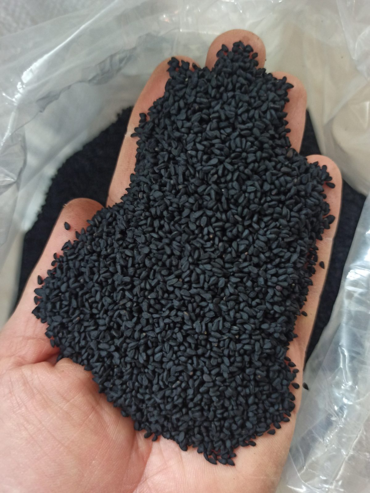 Premium Syrian Black Cumin Seeds